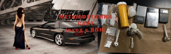 прущие грибы Баксан