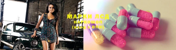 прущие грибы Баксан