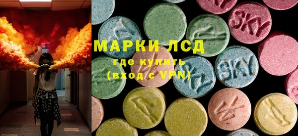 прущие грибы Баксан