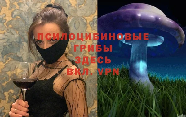 ПСИЛОЦИБИНОВЫЕ ГРИБЫ Балахна