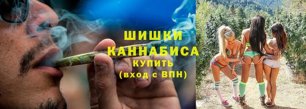 прущие грибы Баксан