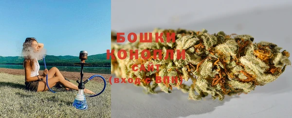 прущие грибы Баксан