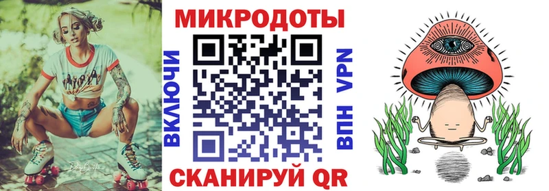 купить   Кяхта  Псилоцибиновые грибы Psilocybine cubensis 